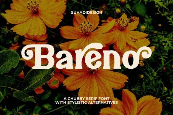 Bareno: A Serif Font for Elegant Design