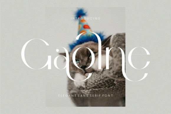 Gaolne: A Stylish Sans Serif Font