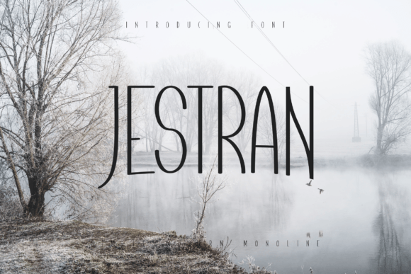 Jestran: A Font for Clear Campaigns