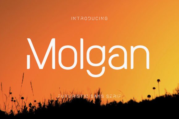 Molgan: A Modern Sans Serif Font That Elevates Your Brand