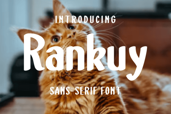 Rankuy: A Modern Sans Serif for Campaigns