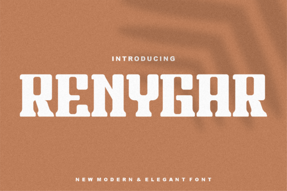 Renygar: A Modern Sans Serif Review
